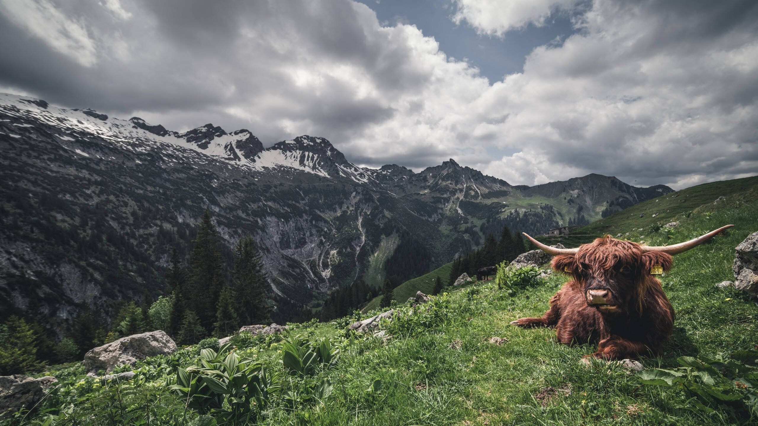 全国青少年“篮球文化节”在昆明跨界融合，推广多元体育文化，昆明青少年篮球训练营