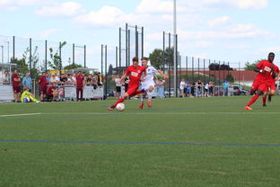 九游（jiuyou.com）游戏-未来足球运动场将实现环保材料全覆盖，绿色发展理念深入人心，室外足球场的运营方案