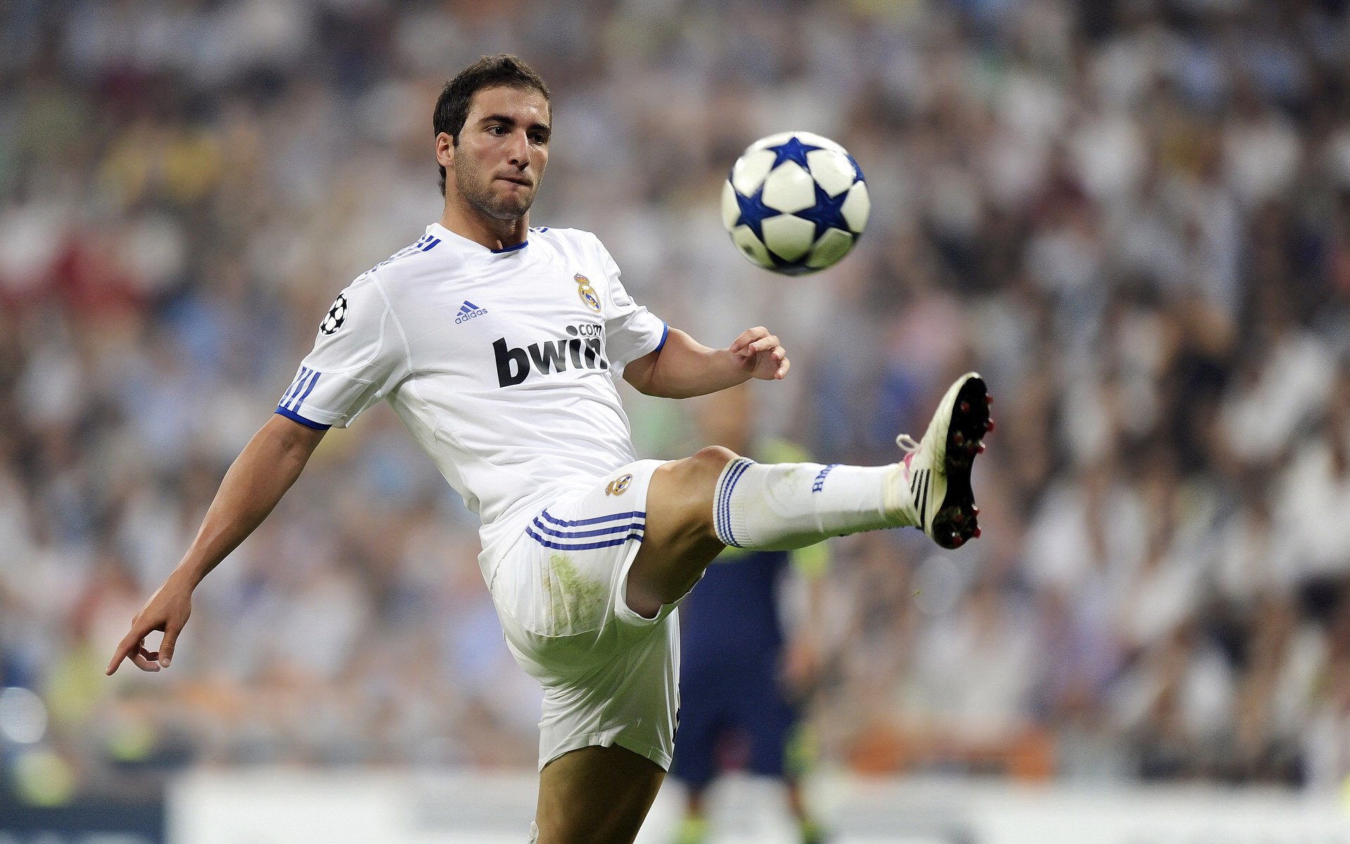 艾比·德尔福：南非队防守的中坚力量，以高效的拦截减少失球，比尔和艾德