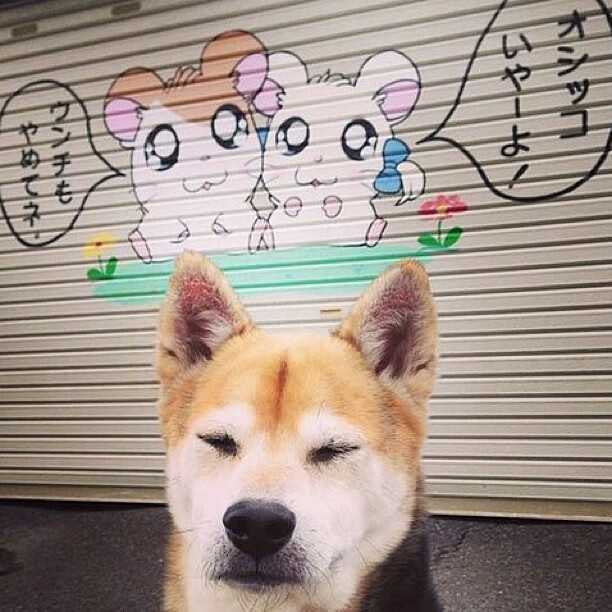 九游-中国篮球运动融入国家文化战略，推动体育强国建设，当前中国篮球运动推进职业化进程的关键